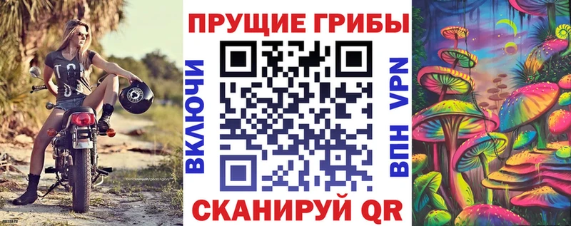 blacksprut ССЫЛКА Агидель Псилоцибиновые грибы Magic Shrooms